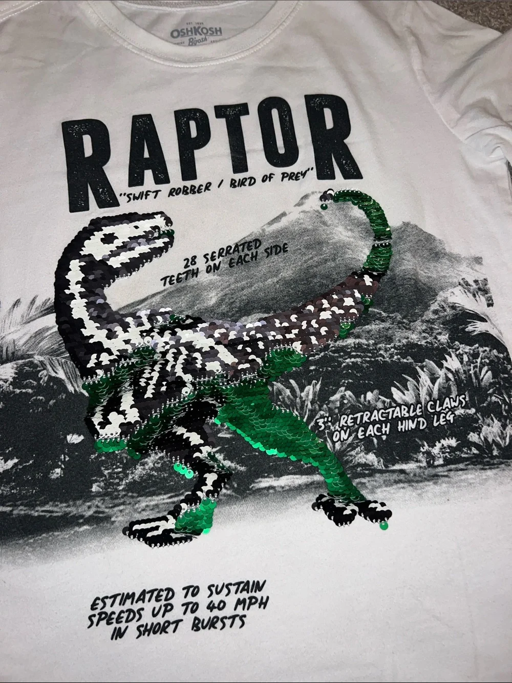 Boys green item bundle - OshKosh Raptor Flip Sequin Tee and Cat & Jack Sweater 🦖